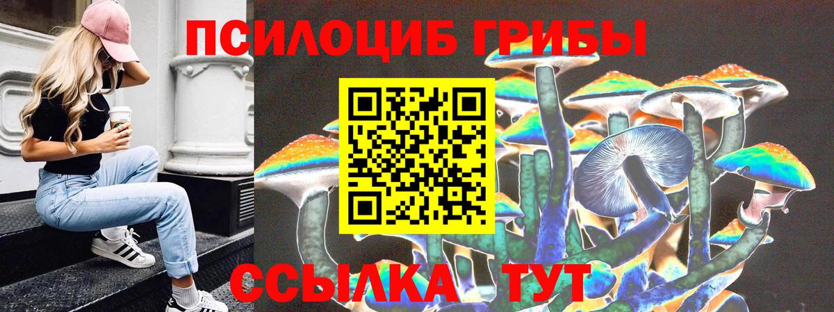 Черкесск  Псилоцибиновые грибы Psilocybe  Вход с VPN 